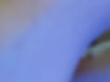 jingyan666 live webcam preview