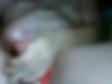 jockd247 live webcam preview