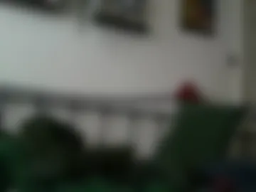 joeosulli2024 photo 4