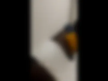 jordan_bigcock24 photo 7