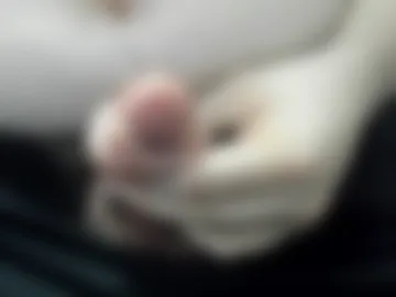 jortiz69x photo 2