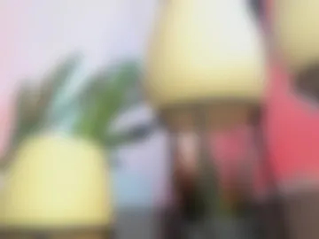 jose_wolf live webcam preview