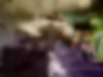 josezz9812zz live webcam preview