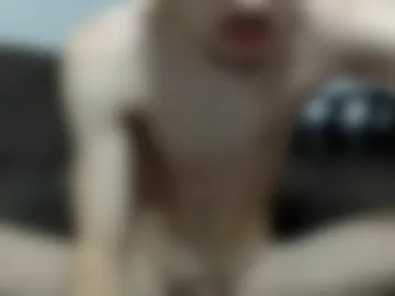 joshuasonline photo 6