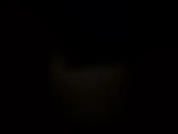 joyduo1987 live webcam preview