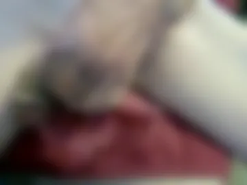 jries329 webcam preview