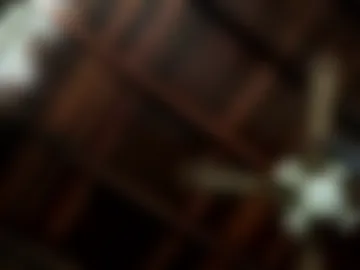 juan_bunny webcam preview