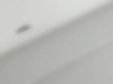 julieta_rose__ webcam preview