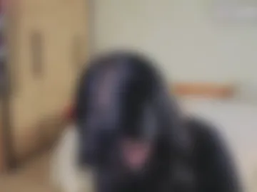 julissweet webcam preview