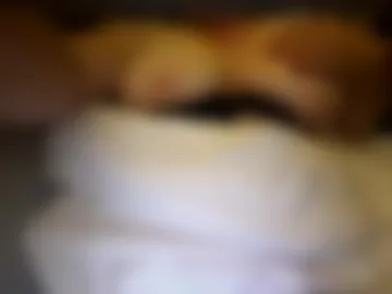 junglefever2026 live webcam preview