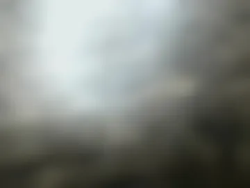 justelani live webcam preview