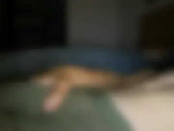 justhangin8 webcam preview