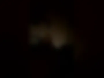 justin363836 live webcam preview