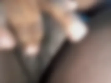 justmyvoice2 webcam preview