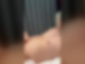 jvcvsxwwbyjg live webcam preview