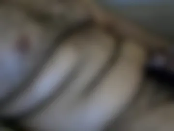 jyhawk305_ live webcam preview