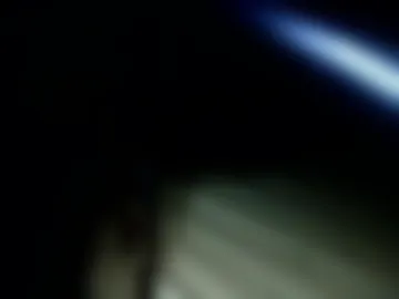 kaileido live webcam preview