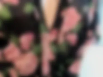 kanareika webcam preview