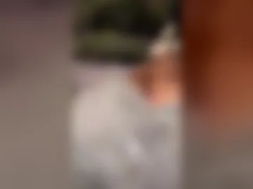 kardim_ live webcam preview