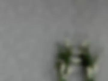 karinasparks photo 4