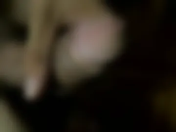 kassandrahot69 photo 2