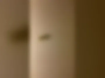 katelynpettigrew4202001 live webcam preview