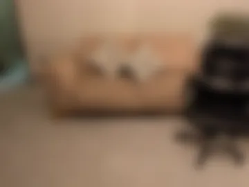 katesunder webcam preview