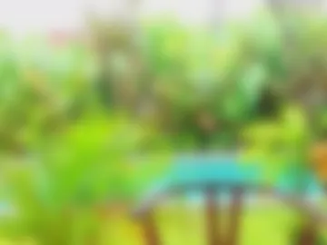 katie_dierse photo 7