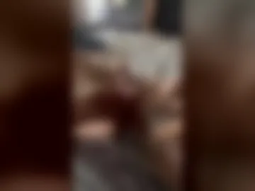 katomaor live webcam preview