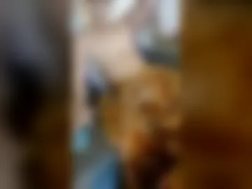 kenhiking live webcam preview