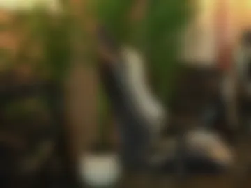 kim_beckett webcam preview