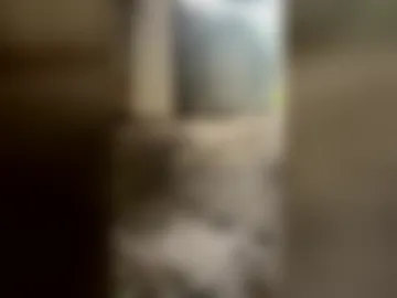 kingecstasyxxxddd photo 6