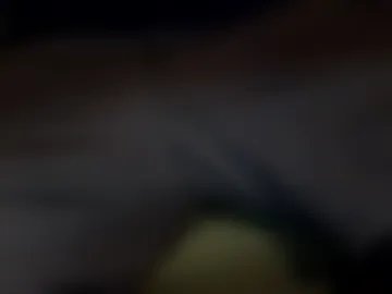 kirritto live webcam preview