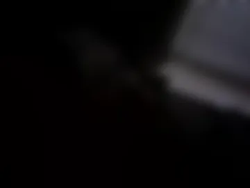 kiwiben45 live webcam preview