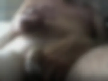 knobsex photo 8