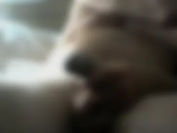 knobsex photo 7