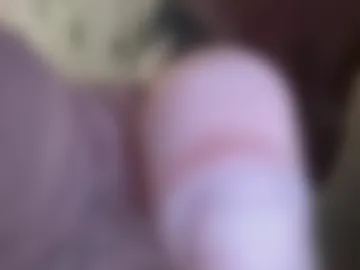 kokk01 live webcam preview