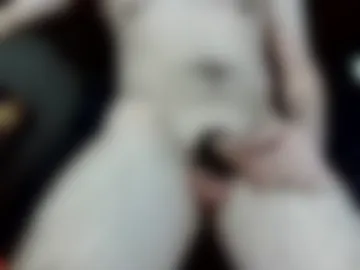 kooperavenue live webcam preview