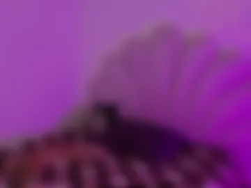 korolovaa webcam preview