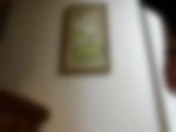 kramron8 webcam preview