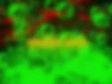 kresser199521 live webcam preview
