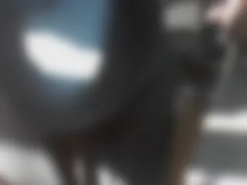 ladani23 live webcam preview