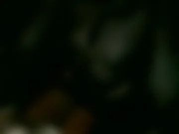 ladyrodeo live webcam preview