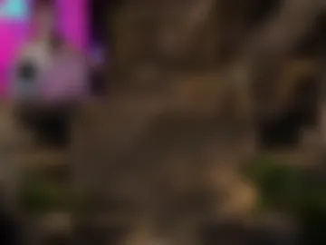 lafnking webcam preview