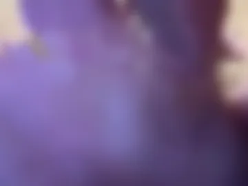 lalo112233vaz photo 8