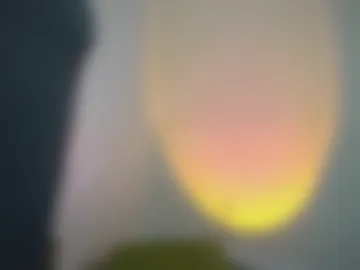 lamarquesathelion webcam preview