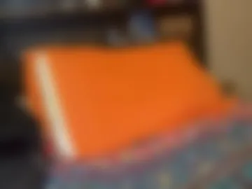 largeandincharge1 live webcam preview