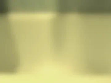 lary0078 webcam preview