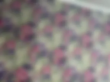 lavetaterpstra photo 4