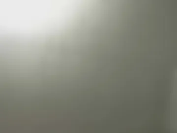 layaslittlelibrary webcam preview